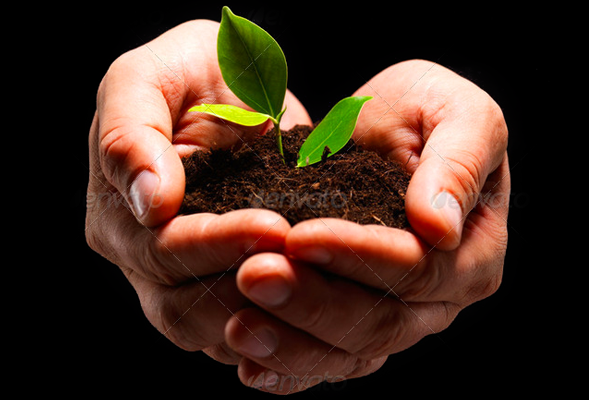 Web漏洞扫描工具